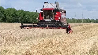 Уборка пшеницы/палессе gs12A1PRO, ДОН-1500Б и МАЗы.
