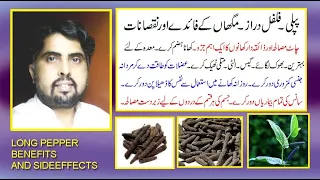 pipli/filfil draz/magha kay fayday aor nuqsanat in urdu/hindi| long pepper benefits and sideeffect |