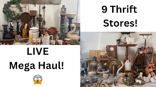 MEGA THRIFT HAUL! I shopped at 9 thrift stores this week 😱