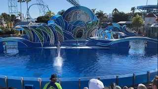 “Dolphin Days” - SeaWorld San Diego’s Christmas Celebration - 2021