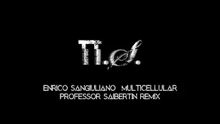 Enrico Sangiuliano - Multicellular (Professor Saibertin Remix) [Dark Melodic Progressive Techno]