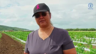 Field Simulation Exercise for Tomato Brown Rugose Fruit Virus