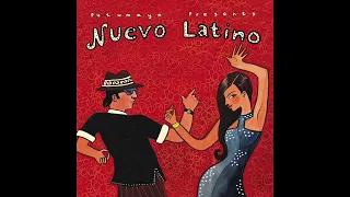 Nuevo Latino (Official Putumayo Version)