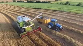 Claas Dominator Harvesting Barley -July 2016