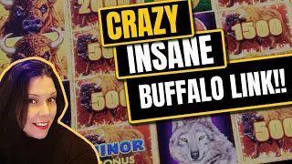 🔴 CRAZY INSANE Run 👉NEW Buffalo Link Slot Machine •👉4 Bonuses