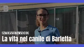 La vita nel canile di Barletta