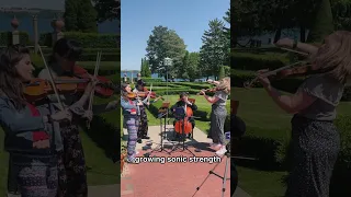 Stunning view playing Seven Lions Rush Over Me' cover - string quartet music arrangement