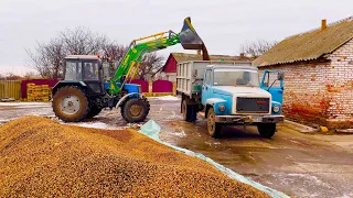 Зліпив залізо , запустив мотори, пішло зерно❗️🌽🌻😊