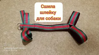 Шлейка для собаки - тесьма + неопрен