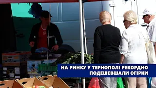 На ринку у Тернополі рекордно подешевшали огірки