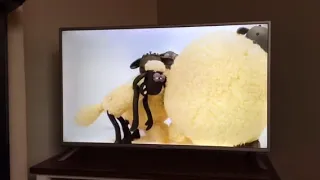 Opening To Shaun The Sheep Picture Perfect UK DVD