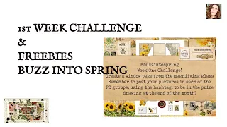 1st WEEK CHALLENGE VIDEO & FREEBIES BUZZ INTO SPRING COLLABORATION KIT WITH @nonstoppapercrafts