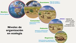 Ecologia de las poblaciones, comunidad y ecosistema. Bioma, poblacion, especie, nicho, habitat