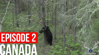 THREE FIRST TIME BEAR HUNTERS TAG OUT IN CANADA - CANADA BEAR HUNT 2017