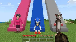 What is the Highest Staircase Scary Teacher, Sonic or Talking Tom in Minecraft - Coffin Meme