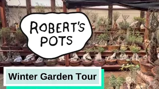 Winter Garden Tour 2024 - A walkthrough of the Caudex Garden during the cold months…