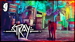 #9 STRAY - Находим Клементину, ломаем камеры наблюдения и воруем куртку