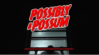 POSSIBLY A POSSUM | Continuity short film