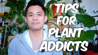 HOW I MANAGED MY PLANT ADDICTION | TIPS TO CONTROL YOUR URGES