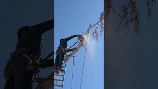 Ladders are DANGEROUS!