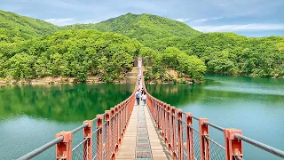 [4K] Walk the beautiful Majang Lake Bridge in Paju City Korea Tour Guide 경기도 파주시의 아름다운 마장호수 출렁다리 걷기