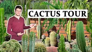 Cactus Tour - 2024