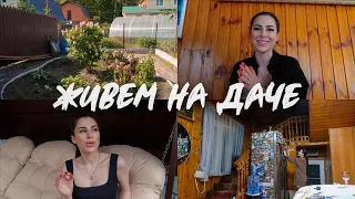 #ЖивемНаДаче 26 || РЕАКЦИЯ НА ОЧЕРЕДЬ ЗА НОВЫМ АЙФОНОМ И ПАЛЕНЫЙ HERMES | РАЗБОР ХОЗ БЛОКА