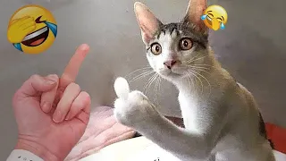 😹❤️ Best Cats and Dogs Videos 😹🤣 New Funny Animals 2024 # 15