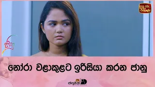 නෝරා වළාකුළට ඉරිසියා කරන ජානු