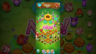 블라썸블라스트사가 Blossom Blast Saga Level 5772