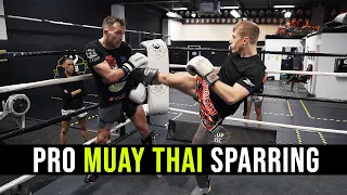 Pro Muay Thai Sparring - Siam Boxing