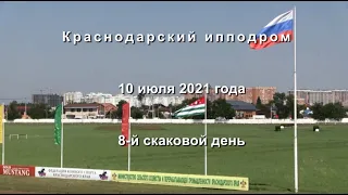 Видео 8 скаковой день   10 07 2021г  Краснодарский ипподром