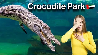 Crocodile Park Dubai Full Tour 2024| Dubai Crocodile Park 4k | Wild Life| Aquarium | Museum|Feeding