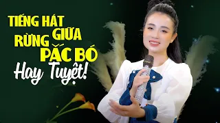 Tiếng Hát Giữa Rừng Pác Bó, Trồng Cây Lại Nhớ Đến Người ☘ Hát Về Bác Hồ Hay Tuyệt Đỉnh