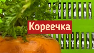 Разбор вопросов про «корейскую тёрку» серия #роко100уроков