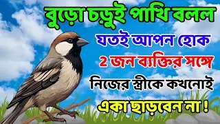 বুড়ো চড়াই পাখি বলল যতই আপন হোক 2জন ব্যক্তির সঙ্গে নিজের স্ত্রীকে কখনোই একা ছাড়বেন না #motivation