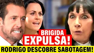 Um Refúgio para o Amor: Rodrigo descobre que Brigida e Clara Sabotaram Luciana! Capitulo de hoje