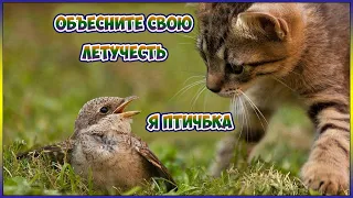 ДИКО РЖАЧНЫЕ ПРИКОЛЫ!!!!!приколы 2020 лучшие/ЛУЧШЕЕ ЗА НЕДЕЛЮ!!!!!!!!№13