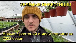 Как заработать 1000% инвестируя в растения