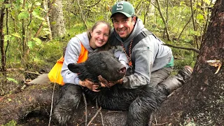 Bear Hunt with Hounds in Northern Michigan