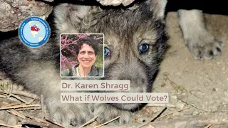 Karen Shragg on What if Wolves Could Vote?