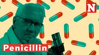 How Penicillin Changed The World