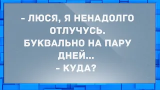 - Люся, я ненадолго отлучусь, буквально на пару дней... Анекдоты.