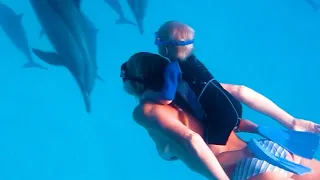 Baby and Mom Free-dive with Dolphins | Satayah Reef