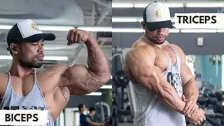 ROAD TO OLYMPIA | ARM WORKOUT