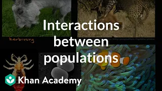 Interactions between populations | Biology of the living Earth | High school biology | Khan Academy
