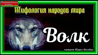 Волк, Славянская  Мифология, читает Павел Беседин