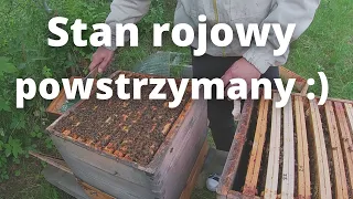 #95 Minął stan rojowy - łączę wcześniej podzieloną rodzinę.