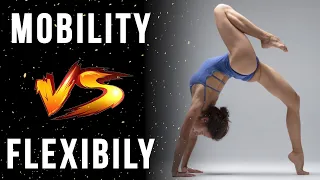 The Difference Between Mobility and Flexibility