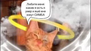 Почему же ты ушёл ?WCMV for Simbochka~😭🥀